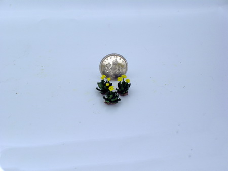 Three Dandelion weeds